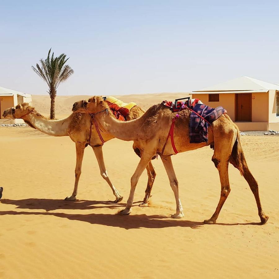 Safari Dunes Camp Ḩawīyah Buitenkant foto